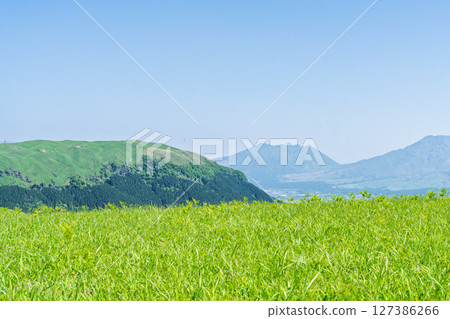 A spectacular drive with Mount Aso in the background. A beautiful view. Driving through the grasslands in search of a spectacular view (Aso City) A spectacular drive with Mount Aso in the background. A beautiful view. Driving through the grasslands in search of a spectacular view (Aso City) 127386266