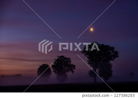 A Beautiful Misty Twilight Landscape Featuring the Moon and Silhouetted Trees in Harmony A Beautiful Misty Twilight Landscape Featuring the Moon and Silhouetted Trees in Harmony 127386283