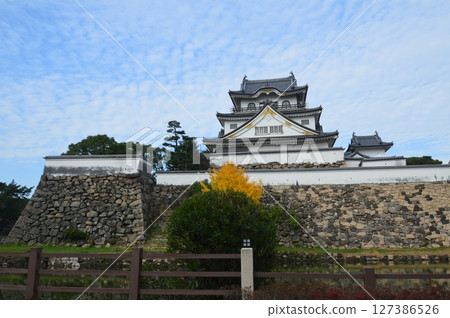 Kishiwada Castle (Kishijo-cho, Kishiwada City, Osaka Prefecture) 127386526