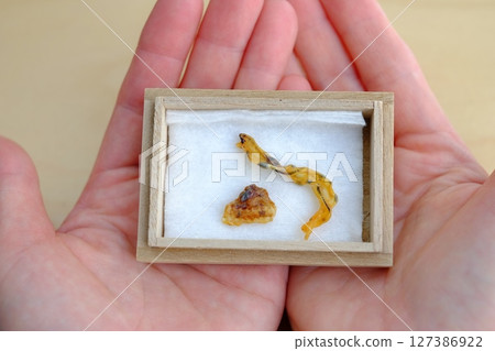 Aged umbilical cord 127386922