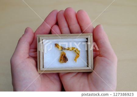 Aged umbilical cord Aged umbilical cord 127386923