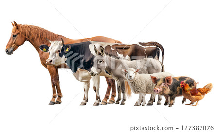 Various animals on a farm are standing together in a row, isolated, created with Generative AI Various animals on a farm are standing together in a row, isolated, created with Generative AI 127387076