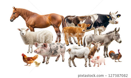 Various domestic farm animals arranged together for display, PNG, created with Generative AI 127387082