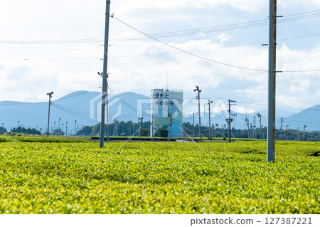 Makinohara Tea Farm in Kanaya, Shimada City, Shizuoka Prefecture, is a large-scale tea farm that cultivates green tea. 127387221
