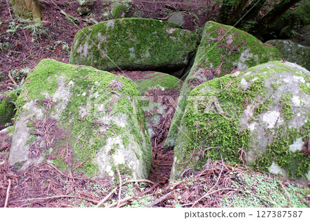 Nagusa Megaliths, Tochigi Prefecture 127387587