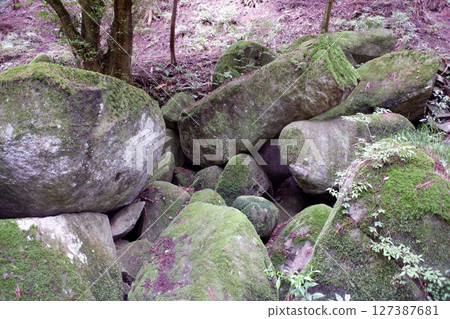 栃木縣名草巨石陣 127387681