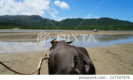 Yuku島的水牛城 127387876