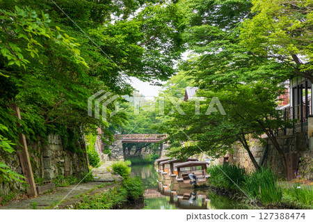近江八幡運河與新綠之旅 近江八幡運河與新綠之旅 127388474