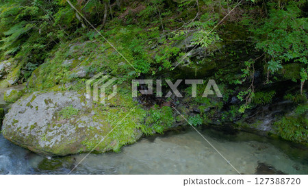 Mitarai Valley (Nara, drone aerial photography, Japan) 127388720