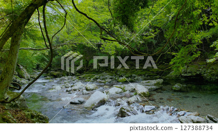 Mitarai Valley (Nara, drone aerial photography, Japan) 127388734