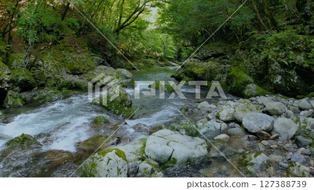 Mitarai Valley (Nara, drone aerial photography, Japan) 127388739