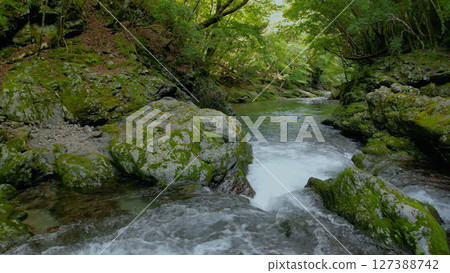 Mitarai Valley (Nara, drone aerial photography, Japan) 127388742