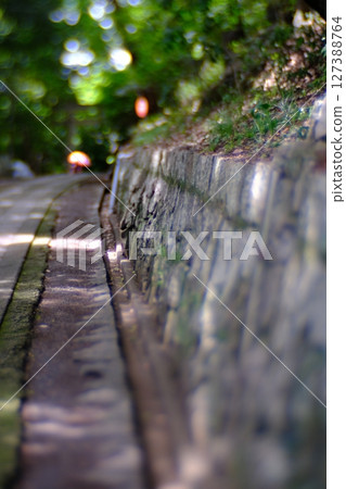 在樹下行走 127388764