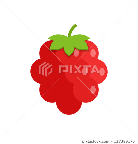 Raspberry fruit icon in flat style. Raspberries berry vector illustration on isolated background. Nature snack sign business concept. 127389176