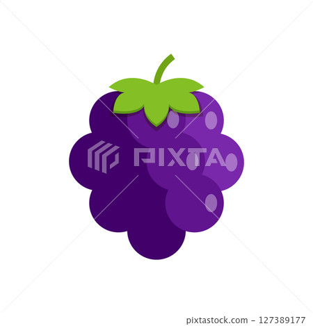 Blackberry fruit icon in flat style. Grape berry vector illustration on isolated background. Nature snack sign business concept. 127389177