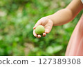 孩子與李子果實 127389308