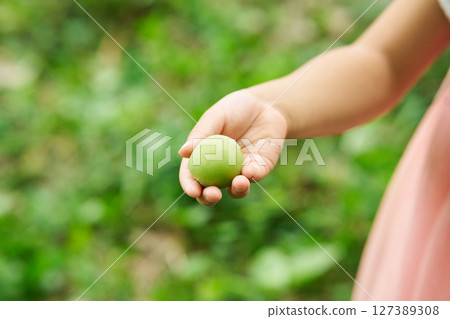 孩子與李子果實 127389308