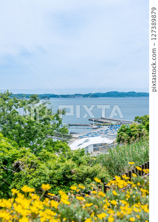 從江之島中津宮廣場的樓梯上眺望江之島遊艇港 從江之島中津宮廣場的樓梯上眺望江之島遊艇港 127389879