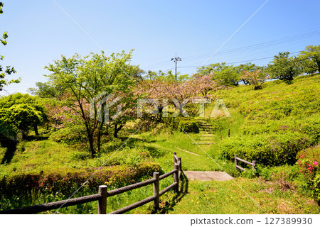 童謠森林互動樂園 2025-5-3 #31 127389930