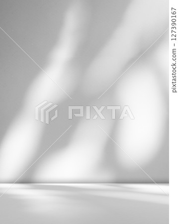 Background Floor Shadow Wall Kitchen Concrete White Texture Light Texture Abstract Mockup Product Marble Room Studio Display Plant Cement 3d Bg Minimal Shelft Bar Silhouette Leaves Backdrop Vintage. 127390167
