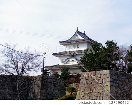 丸龜城(香川縣丸龜市) 丸龜城(香川縣丸龜市) 127390452