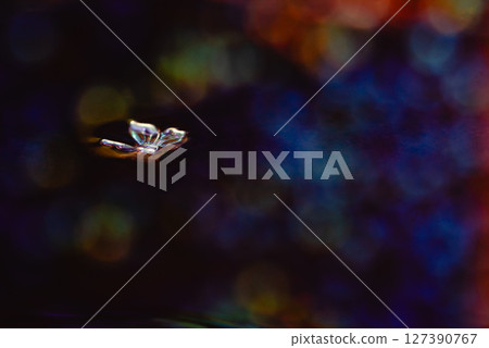 蝴蝶在夜空中翩翩起舞 蝴蝶在夜空中翩翩起舞 127390767