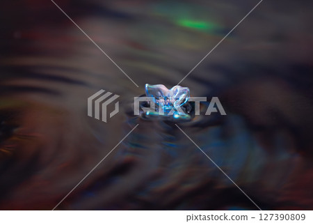 鮮花漂浮在表面上 鮮花漂浮在表面上 127390809