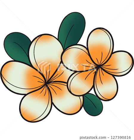 The illustration of a frangipani flower 127390816