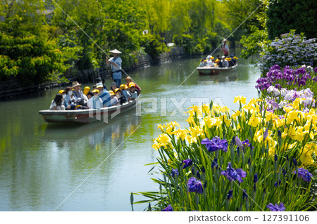 河邊盛開的鳶尾花 127391106