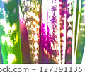 Colorful paint 127391135