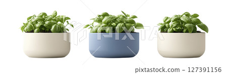 Vibrant green basil leaves thriving in stylish pots, PNG, created with Generative AI 127391156
