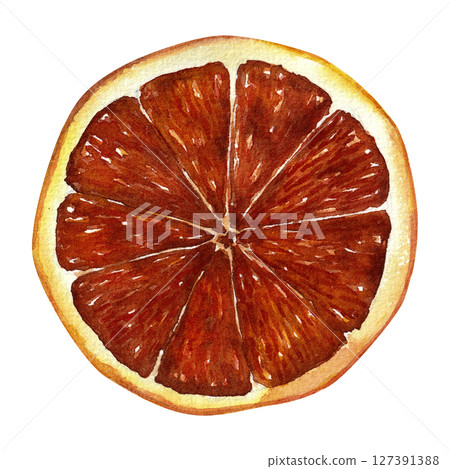 Blood orange slice. Watercolor hand-drawn illustration for packaging, menu, textile design. Isolated on white. 127391388