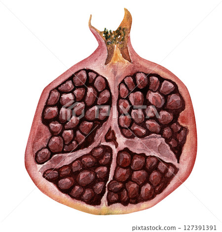 Split pomegranate fruit. Watercolor hand-drawn illustration for packaging, menu, textile design. Isolated on white.  127391391
