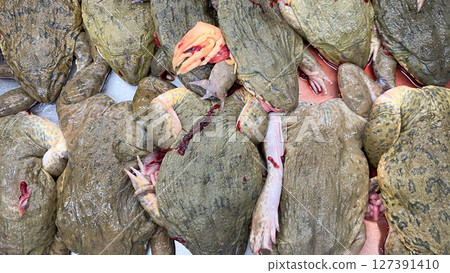 A pile of skinned and partially processed frogs, typically sold in wet markets for cooking.Common in regional cuisines where frog legs are a delicacy. 127391410
