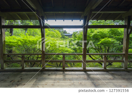 Tofukuji Temple in summer: Sengyokukan surrounded by green leaves as seen from Gaunkyo Bridge Tofukuji Temple in summer: Sengyokukan surrounded by green leaves as seen from Gaunkyo Bridge 127391556