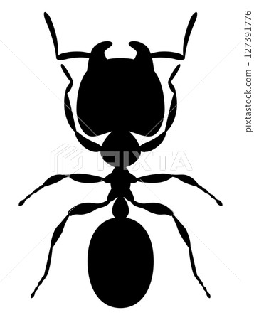 巨型螞蟻的插圖 巨型螞蟻的插圖 127391776