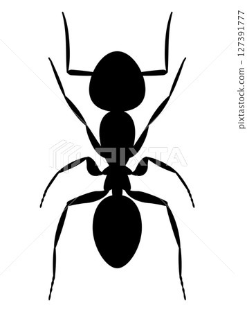 Ali's illustration 127391777