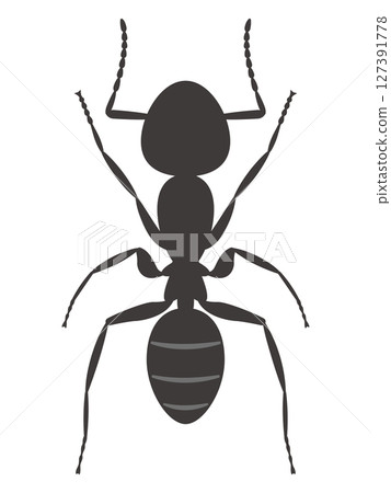 Ali's illustration 127391778