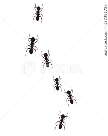 Illustration of a procession of ants Illustration of a procession of ants 127391780