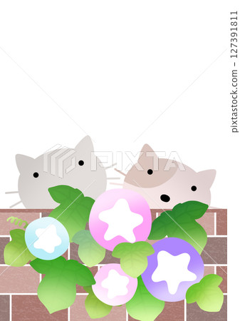 Morning glory and cat background〈postcard〉 A 127391811