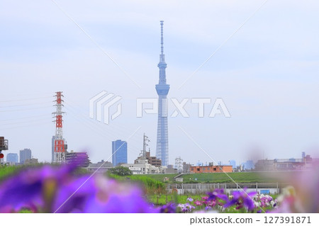 Tokyo Skytree as seen from Horikiri Waterfront Park 127391871