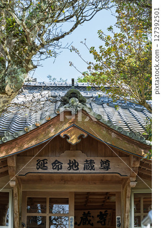 在藍天白雲映襯下，紫藤花盛開的季節，這裡是閃耀的長壽之水和祈禱勝地！天草市的“延命地藏菩薩” 127392501