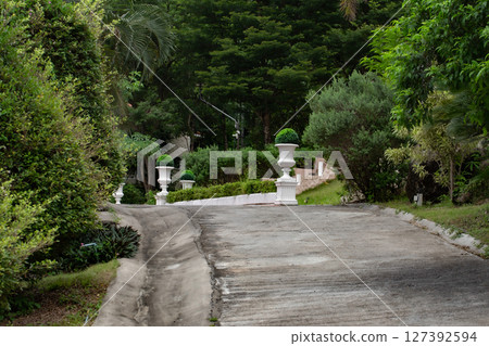 Agriculture, Asphalt, Autumn, Backgrounds, Birch Tree 127392594