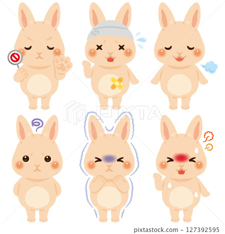 不同狀態的兔子角色集 127392595