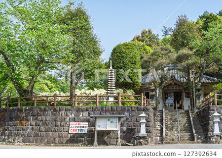 A water of longevity and a prayer spot that shines in the season when wisteria flowers bloom in abundance against the backdrop of blue skies! "Enmei Jizo-son Surroundings" Amakusa City 127392634