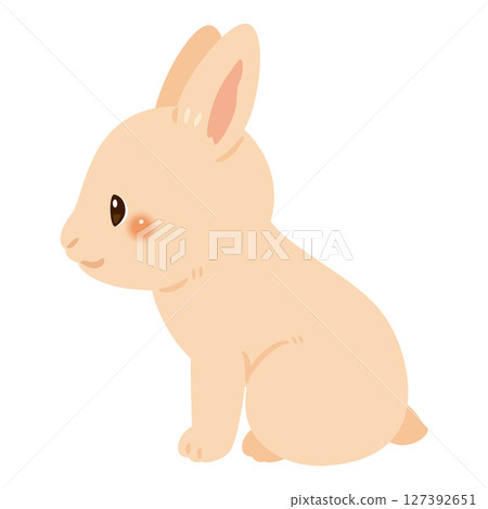一隻坐著的兔子的側面插圖 127392651