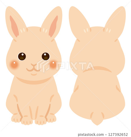 Set of front and back illustrations of sitting rabbit Set of front and back illustrations of sitting rabbit 127392652