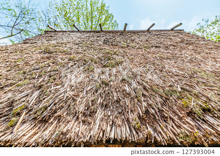 Thatched roof 127393004