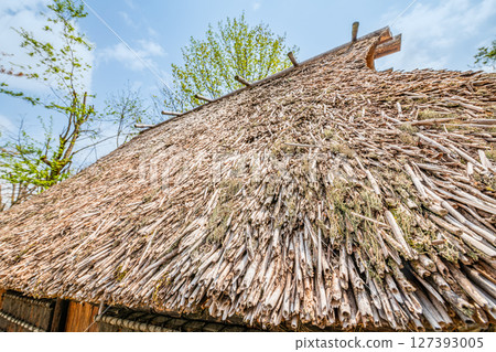Thatched roof Thatched roof 127393005