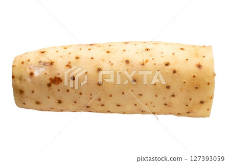 Yamaimo roots and slices or Chinese yam isolated over white background Yamaimo roots and slices or Chinese yam isolated over white background 127393059